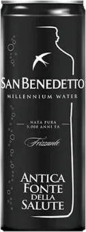 SAN BENEDETTO MILLENNIUM WATER FRIZZANTE