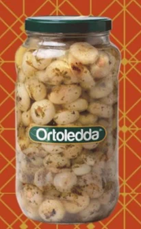 CIPOLLEDDA