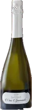 INCANTI