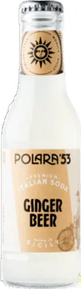 Polara 53 Ginger Beer