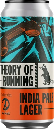 THEORY OF RUNNING